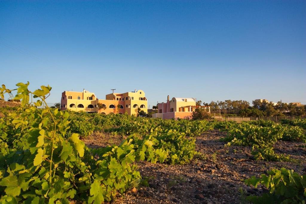 Alisaxni Resort Akrotírion Eksteriør bilde